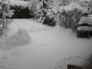 Bild 71: Ferienhaus Degenhardt - Im Urlaub und doch zu Hause