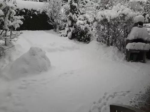 Garten um Schnee