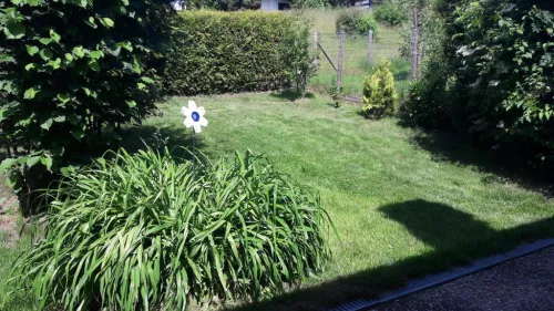 Sommergarten im Juni 