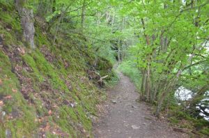 Dieser Wanderweg ist direkt vom Grundstück aus zu erreichen und führt Sie direkt in die herrliche Landschaft mit Wald und Wiesen.
