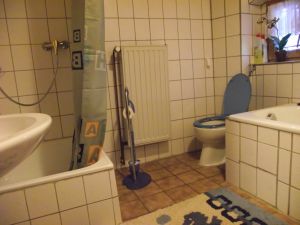 Badezimmer mit Tageslicht und Waschbecken, WC, Dusche und separater Badewanne.
Es stehen weiter 2 Badezimmerschränke und ein Spiegelschrank zur Verfügung.