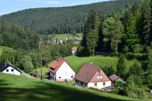 Bild 45: exklusive FeWo Waldblick, 2 Schlafzimmer, Elektrokamin, Garten