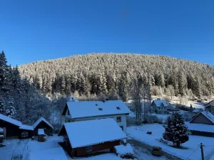 Bild 53: exklusive FeWo Waldblick, 2 Schlafzimmer, Elektrokamin, Garten