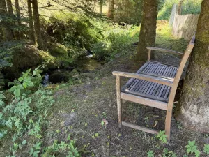 Bild 27: Ferienwohnung Waldblick 2-3 Schlafzimmer, 1-2 Bäder, Garten, BBQ, Sauna
