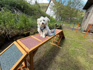 mit viele Spielsachen