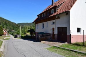 Bild 21: exklusive FeWo Waldblick, 2 Schlafzimmer, Elektrokamin, Garten