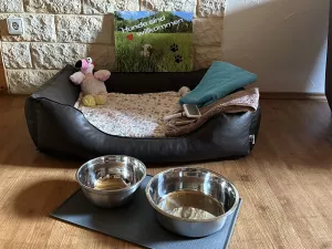 Top Hundeausstattung orthopädisches Hundebett
verschiedene größen an Näpfen
Handtuch
Fellpflegetuch für nasse Hunde
Zeckenzange
Bürste