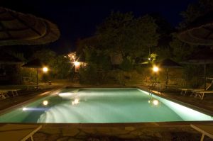 Bild 2: Toskana Urlaub Am Meer Agriturismo Campo di Carlo/ Etrusker Kueste