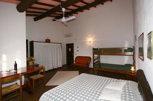 Bild 10: Toskana Urlaub Am Meer Agriturismo Campo di Carlo/ Etrusker Kueste