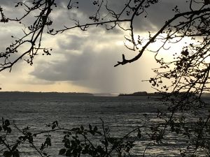 Die Schlei Spaziergang an der Schlei