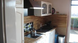 Küche Die Küche ist eine Wohnküche direkt im Wohnzimmer. Kühlschrank mit Gefrierfach, Geschirrspüler, Herd mit Backofen, Kaffeemschine, Wasserkocher.