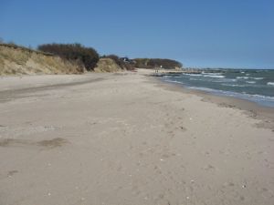 Hier sehen Sie einen kleinen Teil des Strandes von Bliesdorf Strand, welchen Sie vom Haus in 2 Minuten zu Fuß direkt erreichen. Dieser Abschnitt ist das ganze Jahr für Hunde gestattet. Der ganze weitere Strand ist von Ende September bis Mitte Mai für Hunde frei. Außerdem gibt es noch einen "kleinen" Geheimtipp, sobald Sie vor Ort sind! ;-)