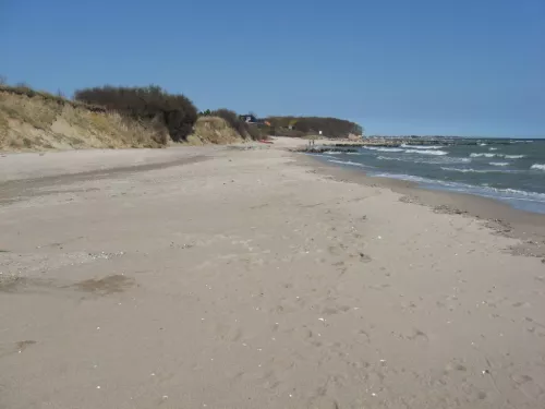 Strand / Hundestrand
