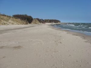 Strand / Hundestrand