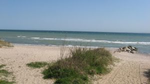 Impressionen Zu Jeder Jahreszeit ist es schön hier. Frühling, Sommer Herbst und Winter. Gerade in den Zeiten ausserhalb der Sommersaison können Sie die Umgebung als Hundebesitzer besonders geniessen, da hier nur sehr wenige Menschen sind und der Strand komplett für Hunde frei ist. Erholung in seiner besten Form.