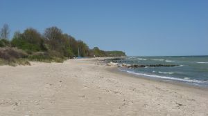 Strand Hier können Sie nach Herzenslust mit Ihrem Hund laufen, laufen, laufen und baden, baden, baden...