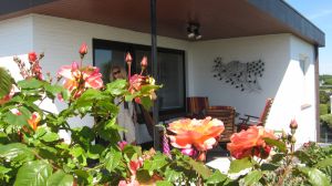 Die überdachte Terrasse Die überdachte Terrasse bietet bei jedem Wetter einen kuscheligen Platz. Sie werden es lieben. In den Monaten April bis September finden Sie 2 Einkaufmöglichkeiten in 2-5 Gehminuten für z.B. frische Brötchen. Der Supermarkt am nahen Campingplatz (von dem bekommen Sie selbst in der Hochsaison nichts mit) ist gut sortiert.