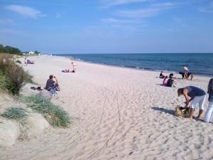 Im benachbarten Grömitz finden Sie einen sehr schönen Yachthafen, eine ca. 3 km lange quirlige Promenade mit langer Seebrücke, sowie einen tollen Hundestrand (Bild). Die eine Hälfte ist in den Sommermonaten mit Strandkörben bestückt.