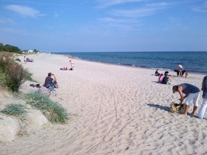 Der Grömitzer Hundestrand Ihren Hundestrand erreichen Sie in 2 Gehminuten. Den Hundestrand von Grömitz erreichen Sie in 10 Autominuten für den Fall, dass Sie mehr Action haben wollen. Sie haben also alle Möglichkeiten hier.