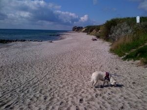 Der Strand In 2 Gehminuten sind Sie am Strand oder im Wald direkt an der malerischen Steilküste. Da wir selber Hundebesitzer sind geniessen wir die Spaziergänge über 3 "Welten". Strand, Steilküste, Wald. In einem einzigen 30 minütigen Spaziergang. In ca. 20 Geh-Minuten sind Sie direkt am Yachthafen von Grömitz, welcher direkt an die dortige lebhafte Promenade mit Seebrücke anschliesst.