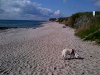 Der Strand In 2 Gehminuten sind Sie am Strand oder im Wald direkt an der malerischen Steilküste. Da wir selber Hundebesitzer sind geniessen wir die Spaziergänge über 3 "Welten". Strand, Steilküste, Wald. In einem einzigen 30 minütigen Spaziergang. In ca. 20 Geh-Minuten sind Sie direkt am Yachthafen von Grömitz, welcher direkt an die dortige lebhafte Promenade mit Seebrücke anschliesst. - Bild 12: Hundefreundliches Ferienhaus Meersicht Lübecker Bucht bei Grömitz