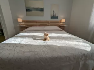 Bild 17: Ferienhaus Giorgia in Vesta am Lago di Idro mit eingezäunten Garten