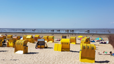 Ferienwohnung in Cuxhaven: Fewo Cux-Duhnen "Duhner-Meeresbrise" H311 Hohe Worth