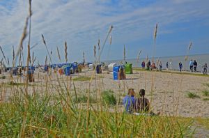 Bild 12: Wangerland: Zum alten Friesen Fewo HAIO für max. 2 Gäste. Hund willkommen!