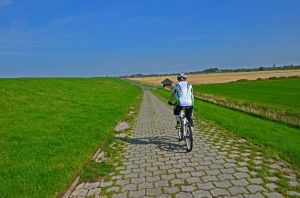 Bild 15: Hooksiel: Fewo MÖWE. Zentral, strandnah, ruhig gelegen, mit Balkon