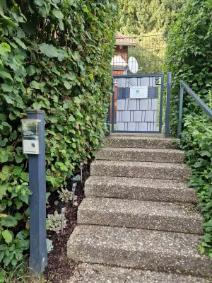 Eingang zum Garten Der Garten ist komplett eingezäunt und eingewachsen.