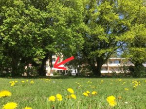 Bild 7: Seeblick Appartement, Strandbadstr. 86, Radolfzell/Mettnau (FWO-201-2024)
