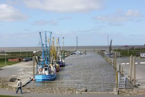 Bild 10: Ferienwohnung Nordwest Wind an der Nordsseküste