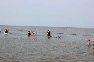 Bild 16: Ferienwohnung Nordwest Wind an der Nordsseküste