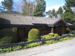 Bild 1: Ferienhaus Woodland Lodge mit eingezäuntem Garten in Winterberg-Niedersfeld