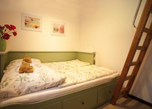 Bild 7: Ferienhaus Woodland Lodge mit eingezäuntem Garten in Winterberg-Niedersfeld