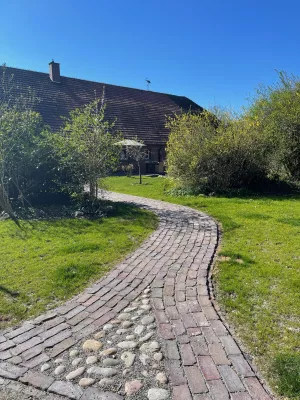 der Eingang mit angrenzender Terrasse wenn es blüht