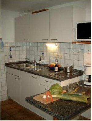 sehr gut ausgestattete Küchenzeile mit Kühlschrank und Microwellenherd.