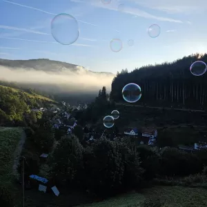 Bild 29: Außergew. luxuriöse Studio - Fe-whg. im Schwarzwald - kl. Skulpturengarten