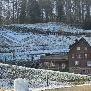 Bild 30: Außergew. luxuriöse Studio - Fe-whg. im Schwarzwald - kl. Skulpturengarten