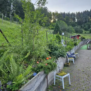 Bild 16: Außergewöhnliche luxuriöse Ferienwhg. im Schwarzwald - kl. Skulpturengarten