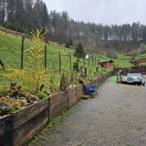 ein Blick in den großen Hundeauslauf