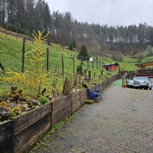 Hundefreilauf Blick auf einen Teil des Hundefreilaufes der direkt vor der Haustür beginnt - natürlich kann auch die Terasse geschlossen werden, wenn der Liebling nicht raus soll.
