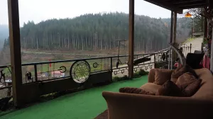 Bild 81: Außergewöhnliche luxuriöse Ferienwhg. im Schwarzwald - kl. Skulpturengarten