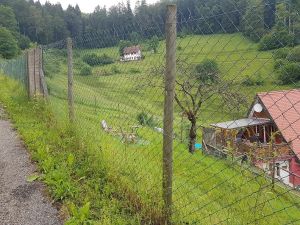 Unser großer Hundeauslauf Der sehr große Hundeauslauf ist direkt mit der Wohnung verbunden, so dass sich ihr/e Hund/e den ganzen Tag frei bewegen können.Die Hunde lieben es.