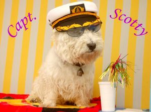 Bild 2: OSTSEEOASE die Ferienwohnung am Meer in Prerow