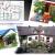 Galeriebild 2