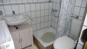 Im Badezimmer gibt es eine Dusche, ein WC, ein Waschbecken sowie einen Spiegelschrank.