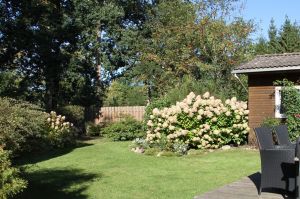 Bild 26: Ferienhaus Onyx, Meißendorf, Hüttensee, Naturschutzgebiet, Lüneburger Heide