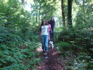 Eine reizvolle und abwechslungsreiche Landschaft bietet die Traumschleife Schanzerkopf-Tour entlang unberührt wirkender Wiesen und Wälder auf 15,4 km Länge. Der Weg stellt leichte Anforderungen, denn es sind nur 180 Höhenmeter zu überwinden. Die Wanderung wird im Uhrzeigersinn empfohlen.

 

Start- und Zielpunkte sind die Parkplätze am Argenthaler Waldsee und am Schanzerkopf.