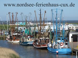 der Kutterhafen von Spieka-Neufeld befindet sich direkt hinter dem Deich. Natürlich gibt es dort auch fangfrische Krabben zu kaufen